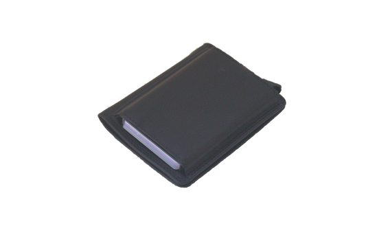 Dollar clip met Figuretta 413